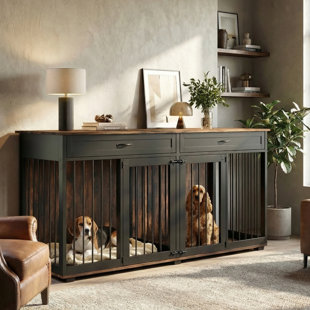 Dorilal Furniture Style Crate with 2 Doors