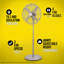 Oscillating Pedestal Fan