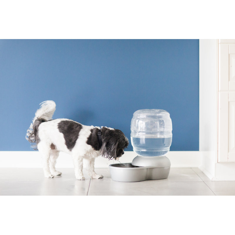 Pet Fountain, 4 fl.oz, Gray