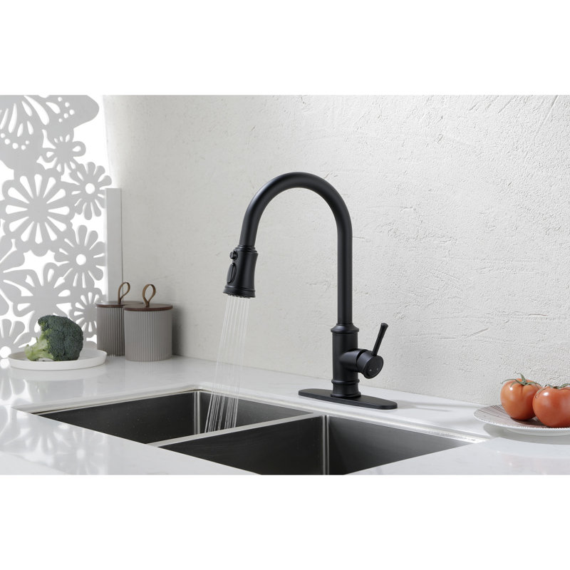 Kitchen Faucet With Pull Out Spraye