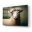 «Sheep Queen» par Seven Trees Designs, art mural en verre acrylique-804565358