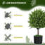 Ensemble de 2 plantes artificielles décoratives, plantes artificielles pour la maison, vert