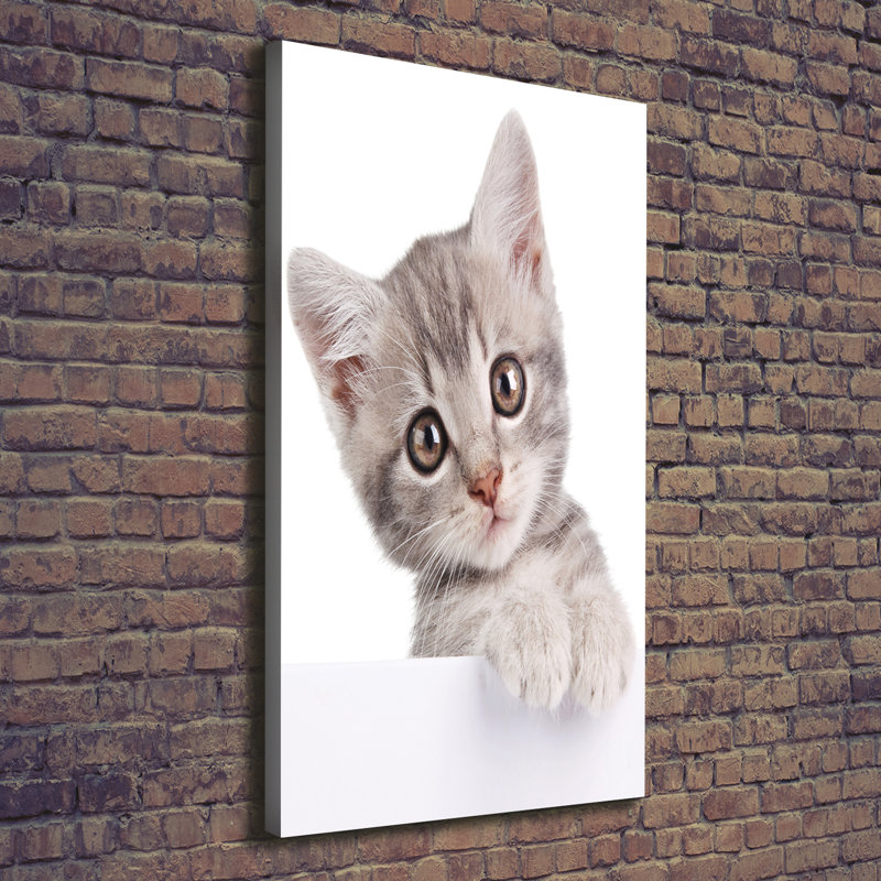 Grey Cat - Wrapped Canvas Print