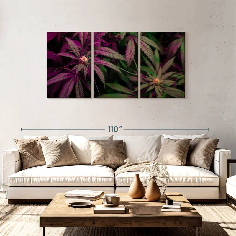 Lavander Marijuana, 39" H x 80" W