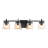 4 - Light Dimmable Vanity Light