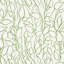 Solandra Vine Wallpaper-42661319