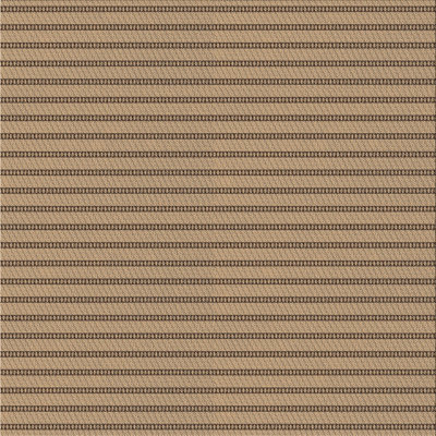 Striped Indoor Rug