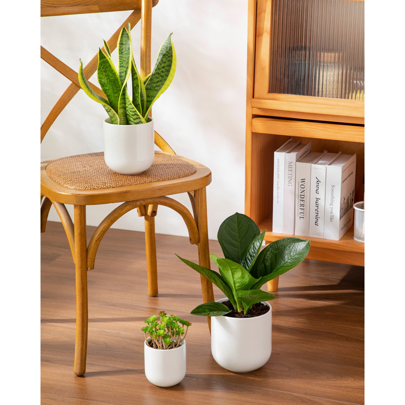 HDHPOT Ceramic Pot Planter, White