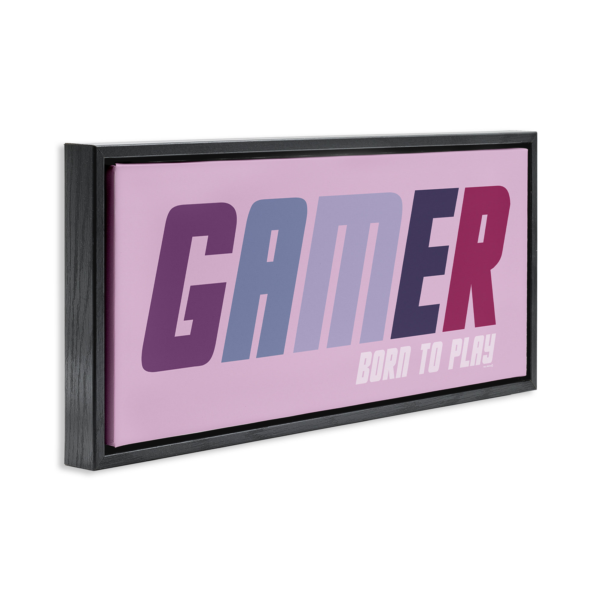 Latitude Run® Gamer Born To Play Floating Frame, design by Yass Naffas ...