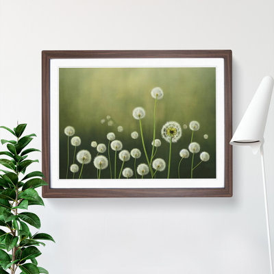 Enthralling Dandelion Flowers 1 Piece Single Picture Frame Painting