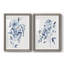 Inky Chickory Botanical I-Premium, reproduction d'art encadrée - prête à être accrochée-130722646-130722647