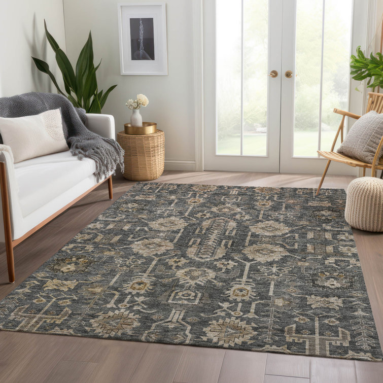 Myda Indoor/Outdoor Area Rug with Non-Slip Backing
