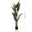 160cm Faux Paradise Plant in Planter