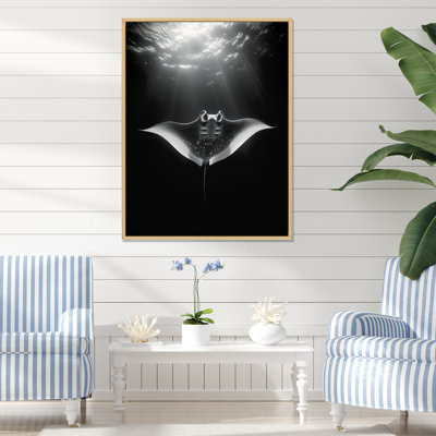 " Giant Oceanic Manta Ray "