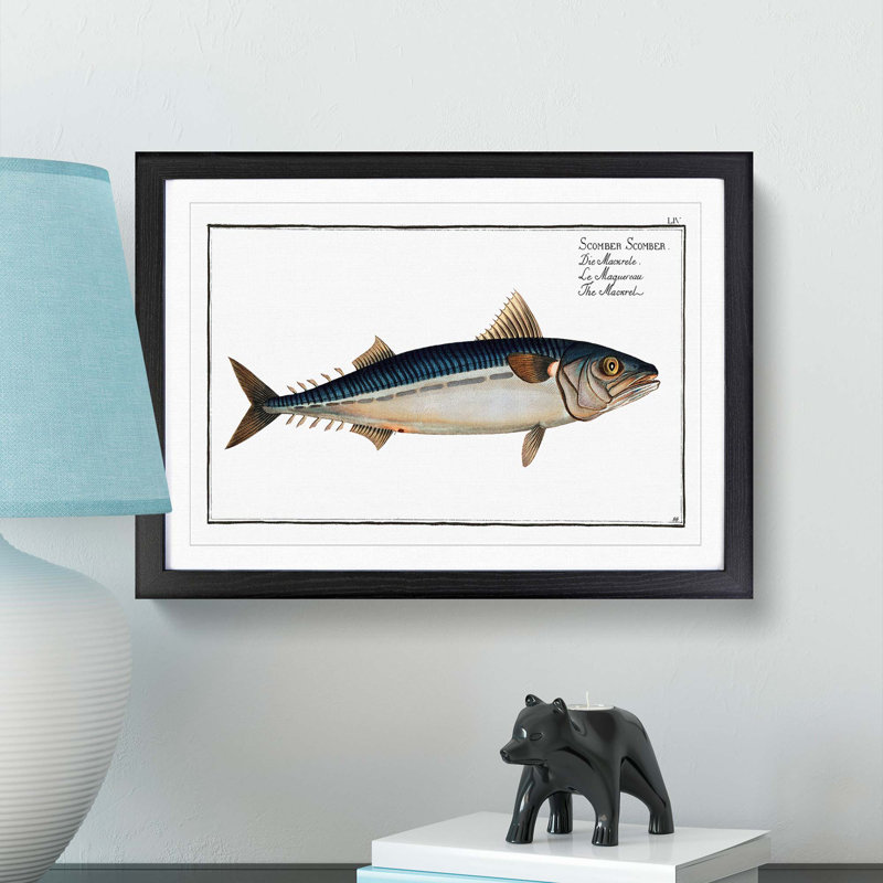 Mackerel Fish by M.E. Bloch - Framed Print, 27cm H x 36cm W x 2cm D, Black Framed