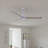 Alessandra 56'' Ceiling Fan-1813772011-1813771989