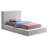 Issaias Upholstered Panel Storage Bed-88359534-88359536