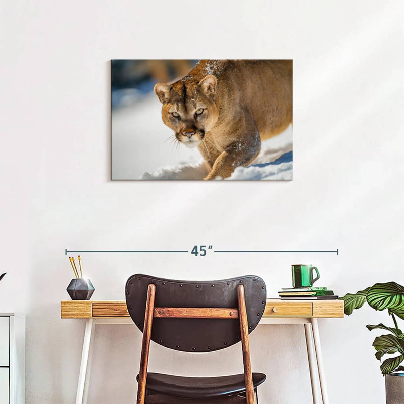 Brampt Cougar In Snow, 20" H x 30" W