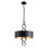 4 - Light Unique/Statement Drum Pendant