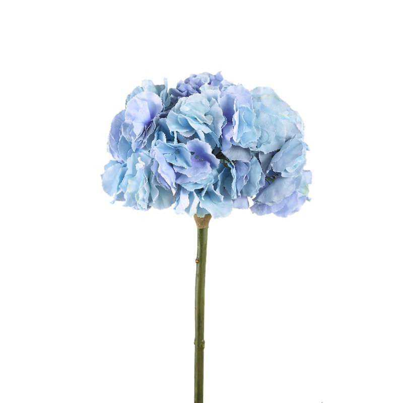 Hortensia 54cm Plant, Blue
