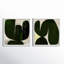 Succulent Set Of 2 Print by StudioM-133974787-133974845