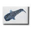 «Shark Whale 2» par Stellar Design Studio-593655581