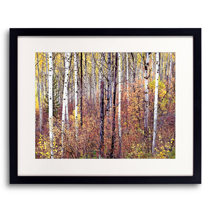 # 2 par Bruce Heinemann - Photographie avec cadre, Papier avec cadre noir, H 17,25 po x l 21,25 po x P 0,88 po, Blanc