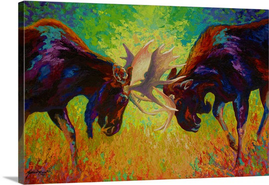 «Clodagh Just Sparring Moose» par Marion Rose, reproduction d'art sur toile, H 32 po x l 48 po x P 1,25 po