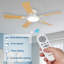 Ceiling Fan-2103512997-2103513022-2103513023