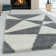 Tappahannock Shag Area Rug