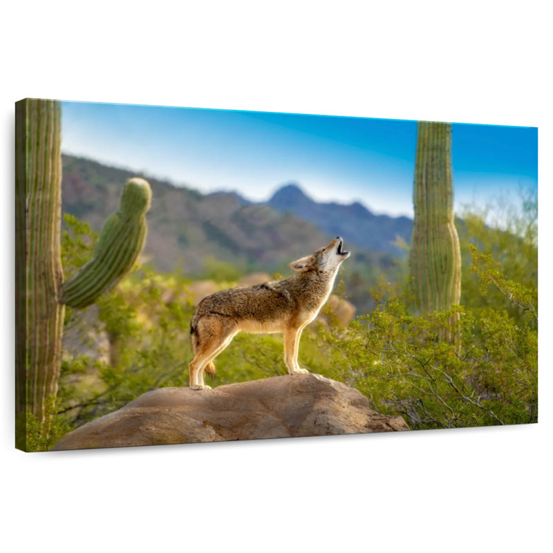 Aadvi Howling Desert Coyote