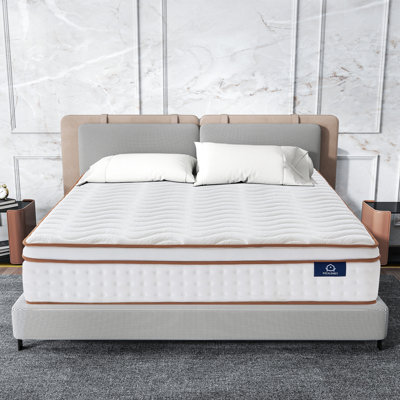 Focalsweet Hybrid Mattress with Euro Top for Adult and Kids