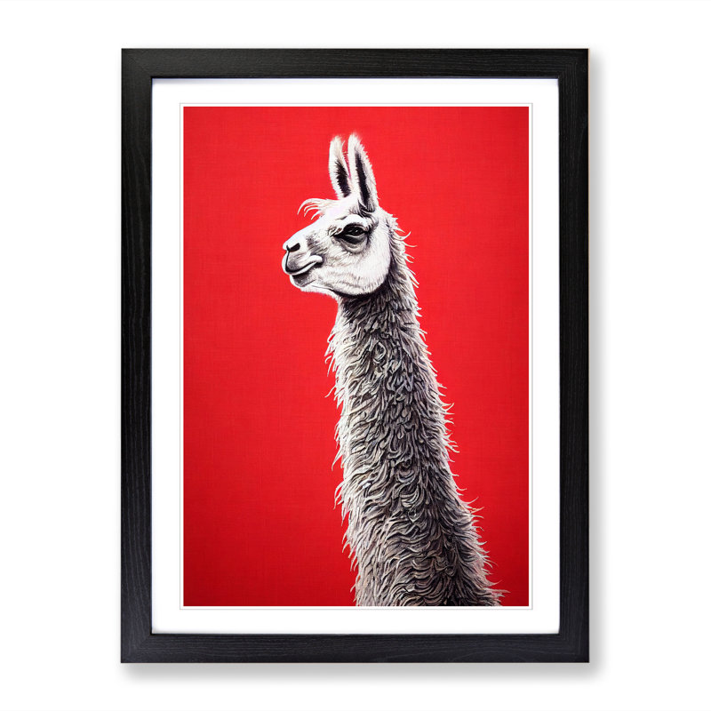 Llama Portrait Vol.2 - Single Picture Frame Print, Black, 64cm H x 46cm W x 2cm D