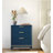 Ozaria 18'' W Nightstand-575738161