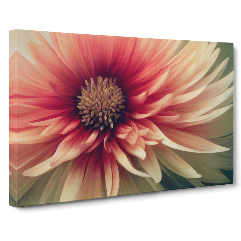 Cosmopolitan Chrysanthemum Flower - Wrapped Canvas, 35cm H x 50cm W x 3cm D