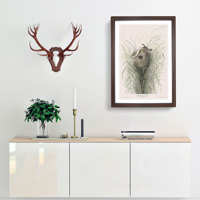 Two Wrens by John James Audubon - Framed Print, 48cm H x 36cm W x 2cm D, Walnut Framed