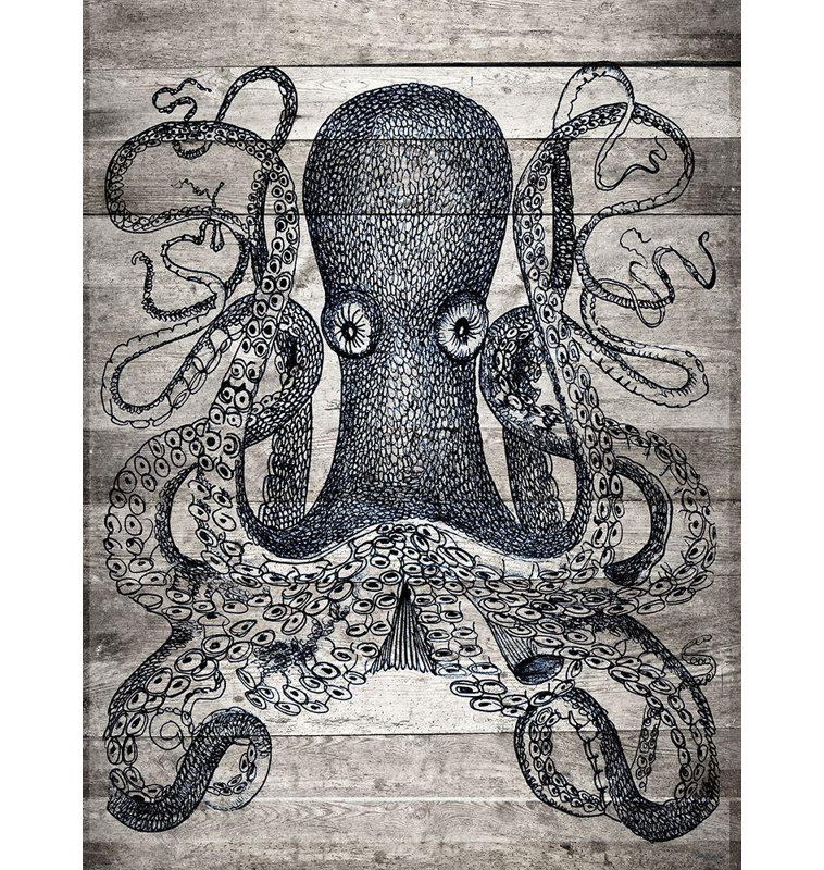 Beachcrest Home ™, art sur toile tendue avec galerie Stellar Design Studio: Kraken II, H 46 po x l 36 po