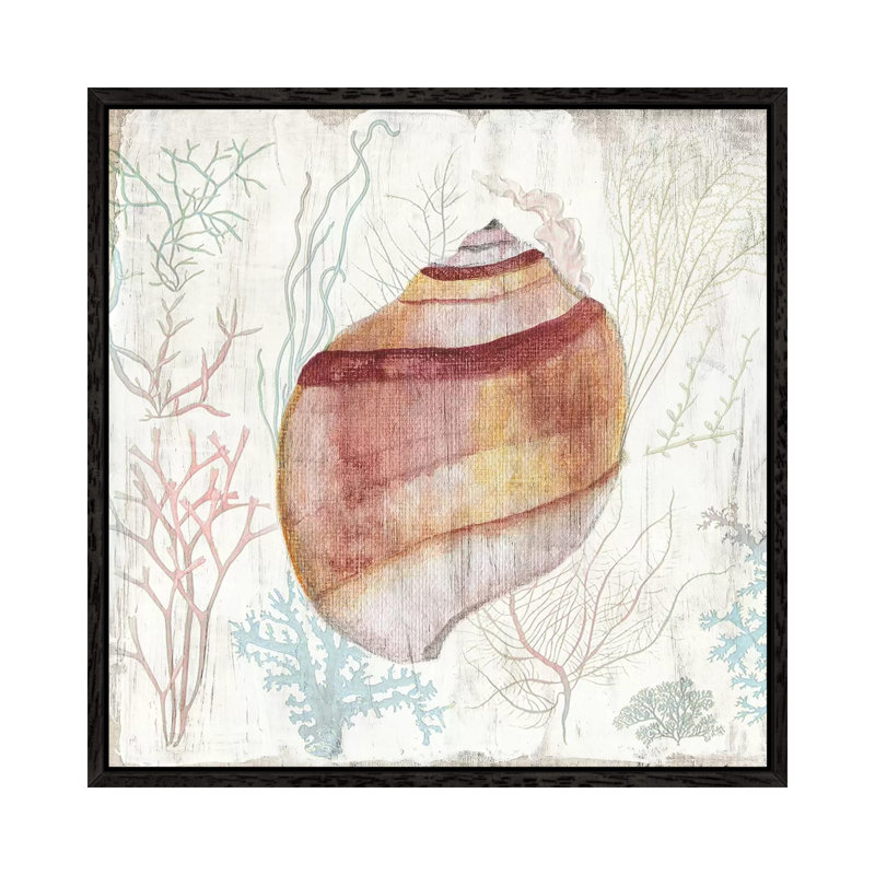 Coral And Shell II by Tava Studios - Gallery-Wrapped Canvas Giclée on Canvas, Black Framed, 66.04 cm H x 66.04 cm W