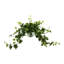 Jenner Faux Ivy Plant in Glass Vase