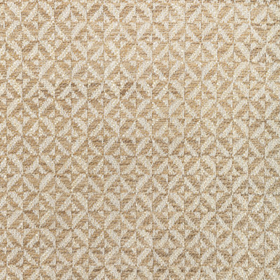 Triana Weaves Fabric