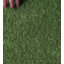 UK Furnishing UK Ltd Outdoor Artificial Grass Turf Rug / Roll-110098748