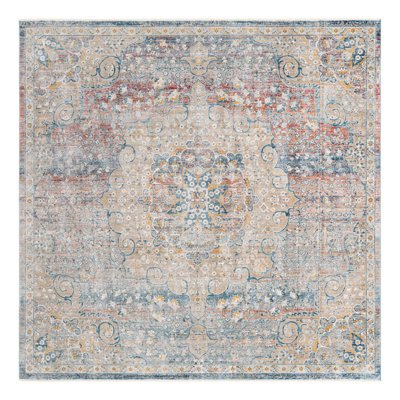 Alize Oriental Indoor Rug