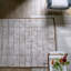 Tokusa Birch Rug-837339311