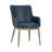 Beatriz 19.5'' H Upholstered Armchair - Blue-274450988-274450989