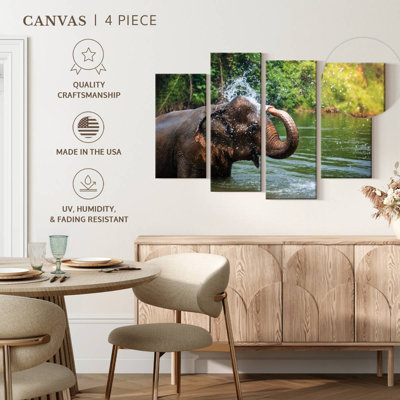 Éléphant Brampt jette de l'eau