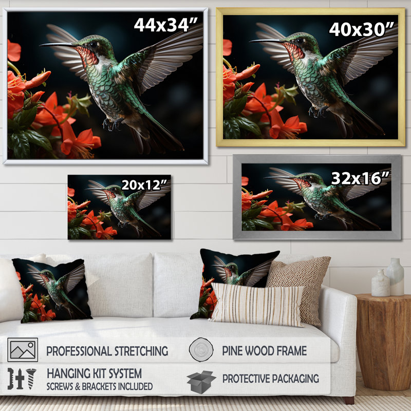 Teal Coral Hummingbird Portrait - Animals Wall Decor, Cadre photo blanc, H 34 po x l 44 po x P 1,5 po
