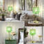 Lampe de table en métal Jesslyn-607733876-607733839