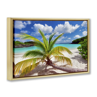 «Palm Tree Across Beach», toile flottante encadrée par Dennis Frates