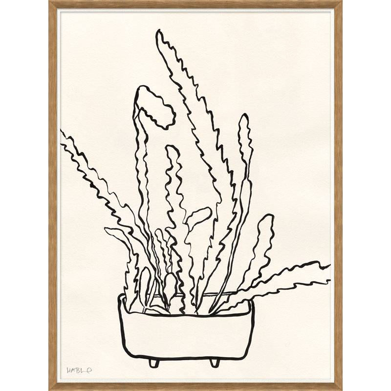 «Peregrina II» par Susan Hable - reproduction de photo encadrée sur papier