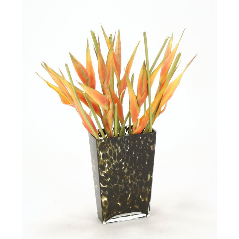 Orange Heliconias dans un vase en verre tacheté léopard